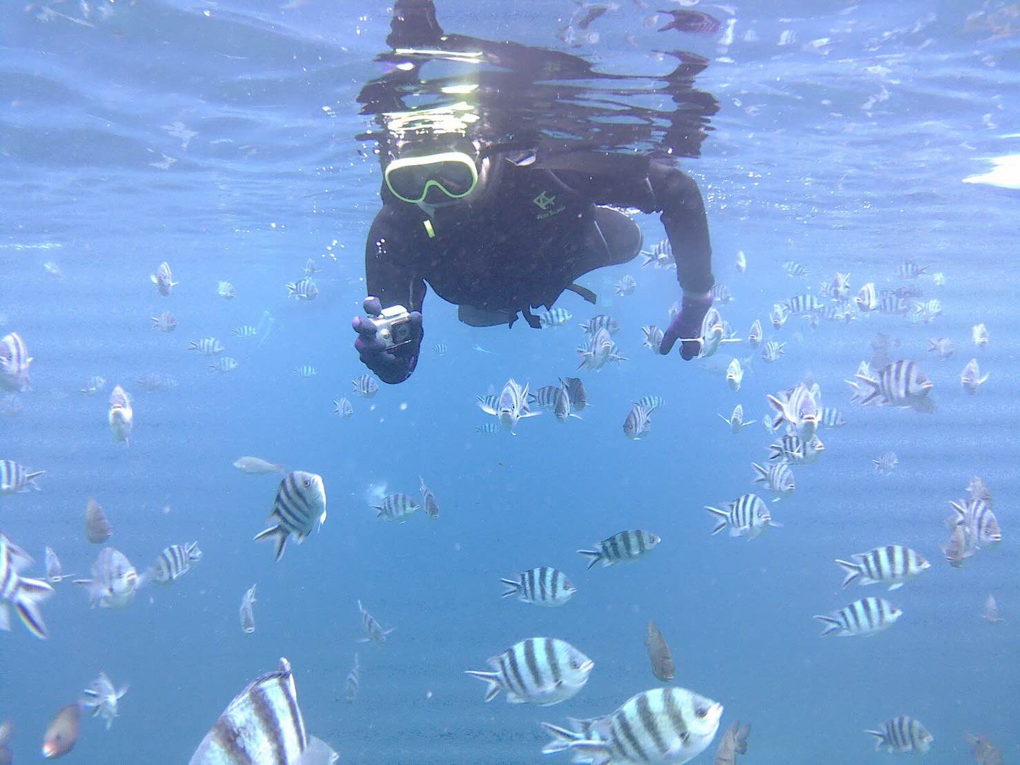 J’ai fait du Snorkeling à Okinawa au Cap Maeda