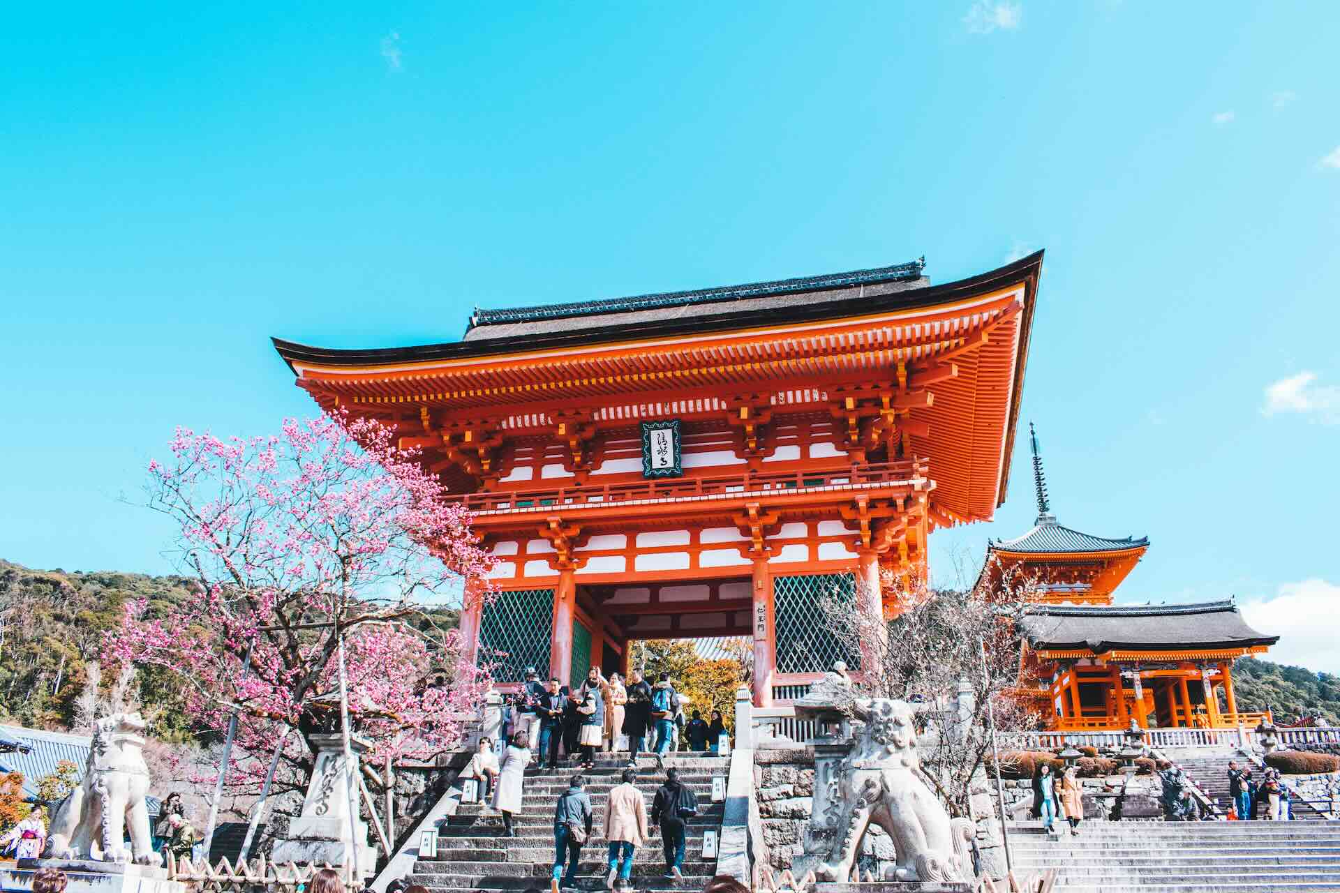 Kiyomizu-dera : Le temple iconique de Kyoto